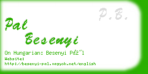 pal besenyi business card